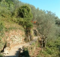 Cinque Terre Coastal Path