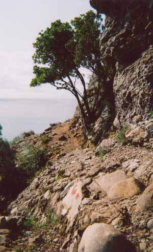 San Fruttuoso, footpath