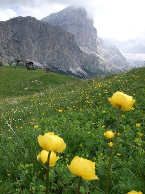 Dolomites scenery near Cortina d'Ampezzo