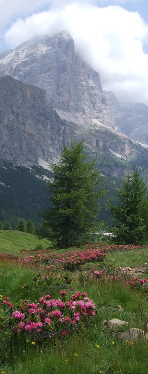 Cooler climates: June in the Dolomites