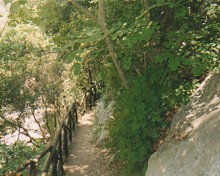 Furore, a woodland path