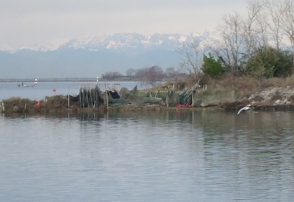 Grado lagoon view