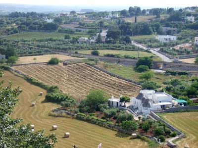 View over countryside from Locorotondo