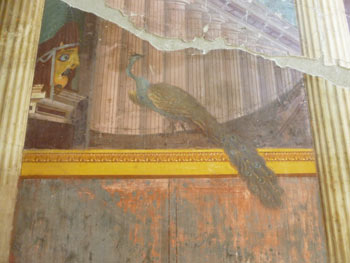 Peacock fresco, Villa Oplontis