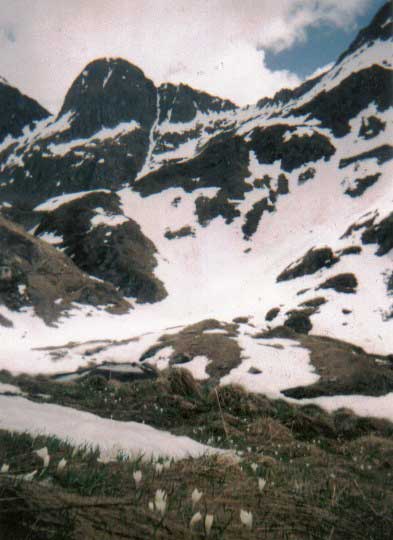 Bergamasque Alps