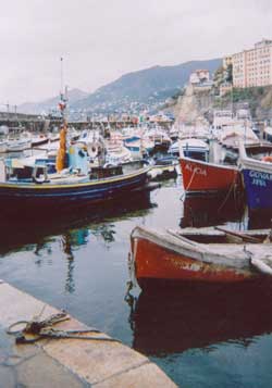Camogli harbour