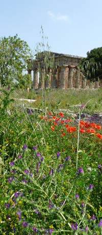 Paestum