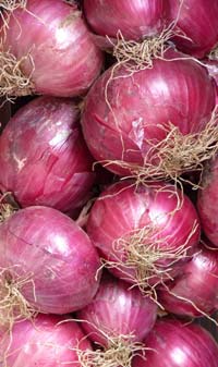 Tropea onions