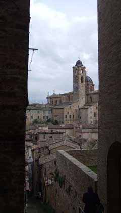 Urbino