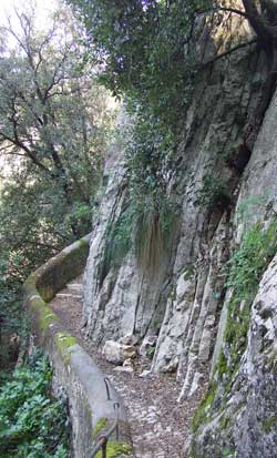 Path leading to cascade, Villa Gregoriana