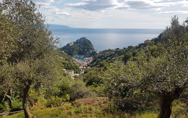 View over Portofino
