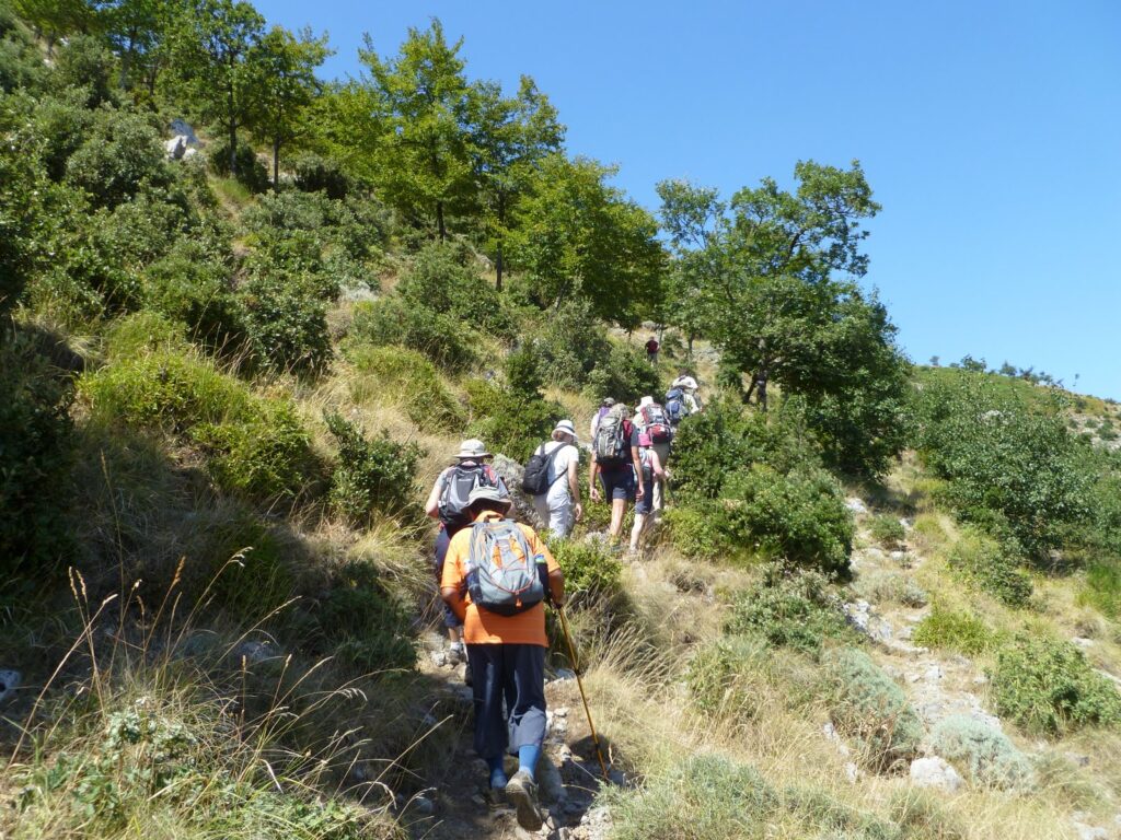 exodus tours amalfi coast