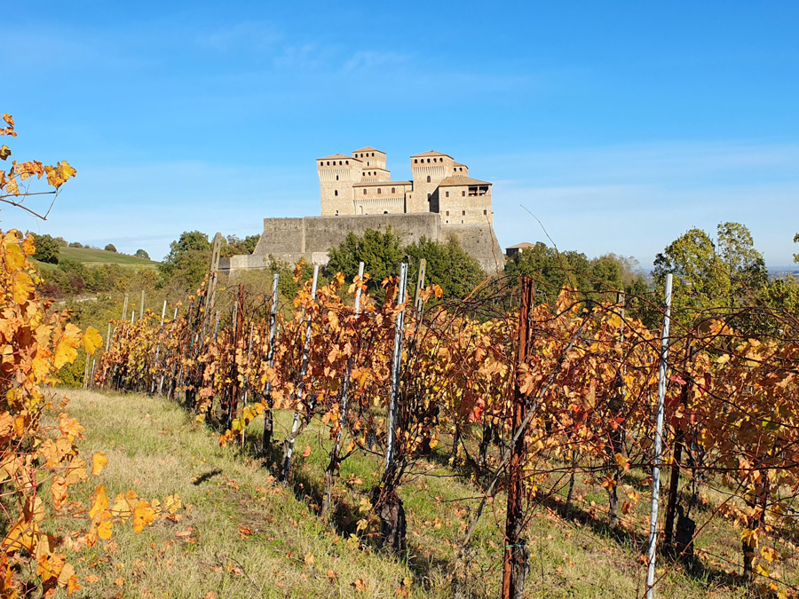 View of autumn vineyards and the Castello di Torrechiara in Emilia Romagna
