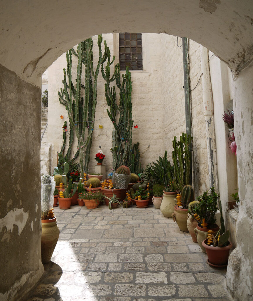 Plant pots in the centro storico, Polignano a Mare