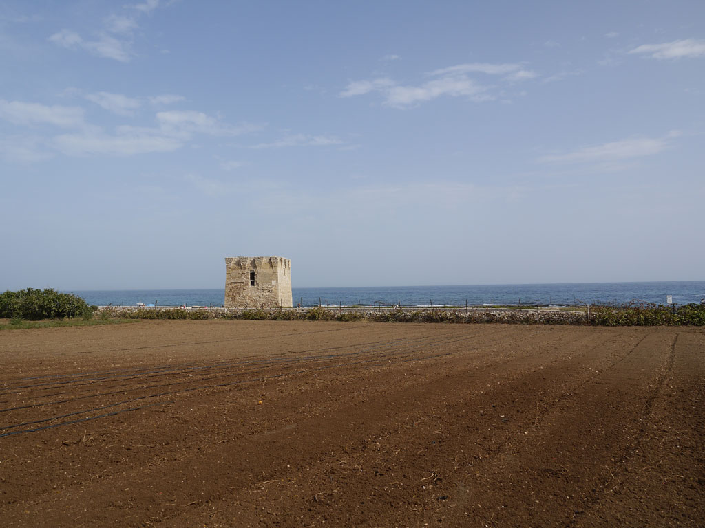 Torre di San Vito, Puglia, seen across a field