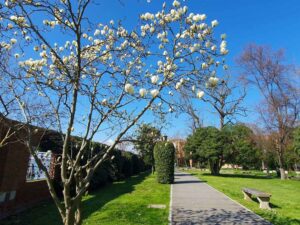 View of the garden on San Servolo